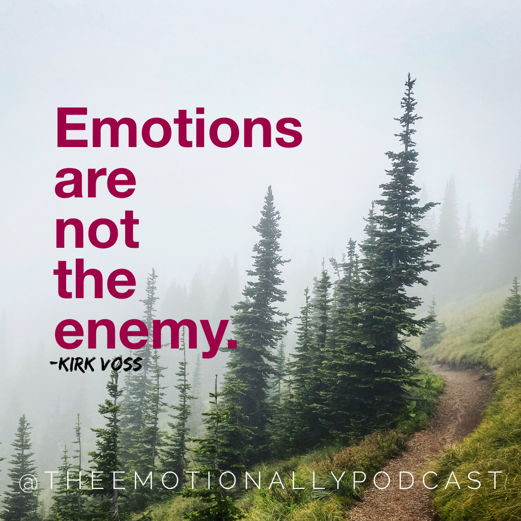 Episode 47: How We Really Can Make Emotions Our Ally