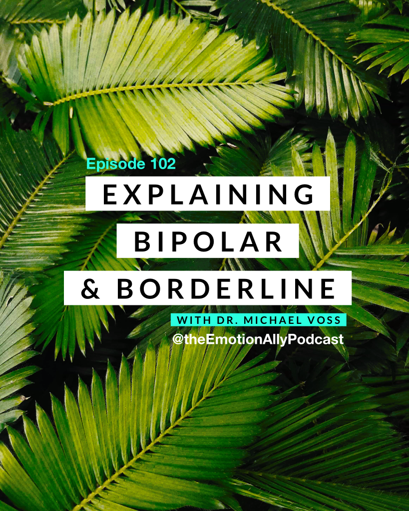 Episode 102: Explaining Bipolar & Borderline